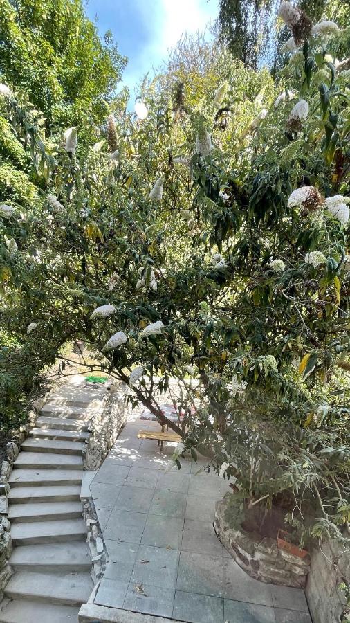דירות בולון-סור-מאר Au Balcon De La Basilique מראה חיצוני תמונה